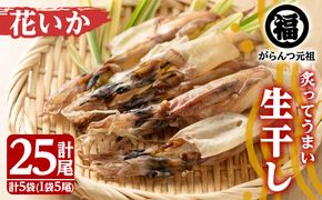 鹿児島県阿久根市産生干し「花いか」(計25尾・5尾×5袋)国産 魚介 干物 ひもの イカ 烏賊 がらんつ干物【マルフク川畑水産】akn029-06