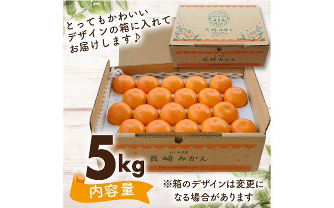 【2024年10月中旬〜発送】こだわり の 温州みかん 約 5kg / みかん フルーツ 柑橘 蜜柑 ミカン / 南島原市 / 長崎県農産品流通合同会社 [SCB036]