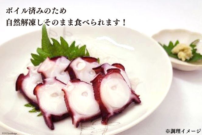 CB044 長崎産 地だこ2尾(約1.4kg)