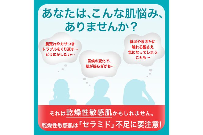 125-2503　定期便3ヶ月 花王 キュレル　潤浸保湿乳液【化粧品 コスメ 敏感肌 乾燥 紫外線 セラミドケア 乾燥肌 保湿ケア 保湿 低刺激 キュレル 乳液 潤浸保湿 医薬部外品 肌荒れ スキンケア 潤い 120ml 神奈川県 小田原市 】