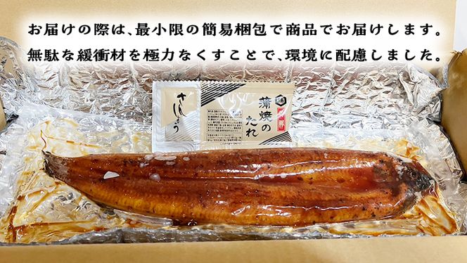  鹿児島県産 有頭 鰻 蒲焼 × 2尾 （ 1尾 135g ～ 155g 以上） うなぎ ウナギ 土用丑の日 家庭用 贅沢 国産 旬 敬老の日 タレ 山椒 付 縁起 土用の丑の日 [DQ007us]