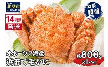 《14営業日以内に発送》オホーツク海産 浜茹で毛がに 約800g×1パイ 冷凍 ( かに カニ 毛ガニ 魚介類 蟹 )【114-0032-2024】