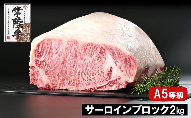 y錧SzK2411 헤(Ђイ) A5 T[CubN 2kg