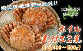 【令和7年度発送先行予約】【地元現役漁師が厳選！！】ボイル・毛ガニ2尾（1尾400～500g）北海道 豊浦 噴火湾 TYUR007