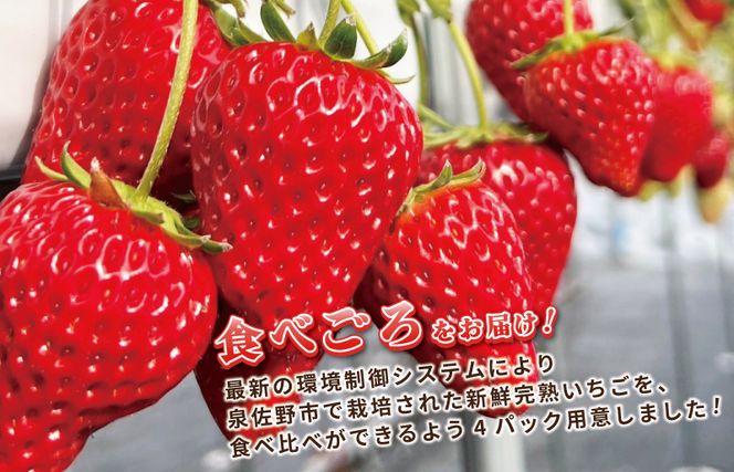 099H2855 【先行予約】完熟新鮮 いちご食べ比べ 4パック 合計1080g以上