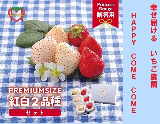 A-125a [先行受付] しあわせ届けるいちご農園HappyComeComeの紅白いちご2品種食べ比べセット 400g以上 (2024年12月中旬から発送開始予定)