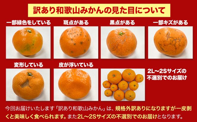 【訳あり/サイズ不選別】 和歌山みかん 約5kg 和歌山県産 《11月中旬から1月中旬に出荷予定（土日祝除く）》たっぷり ご家庭用 2L～2S 産地直送 みかん 旬 蜜柑 ミカン 柑橘 果物 フルーツ 和歌山県 紀の川市---wfn_wlocal89_11c1c_25_7000_5kg--