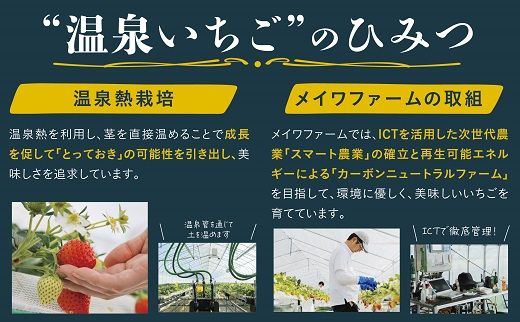 1610 鳥取県産とっておき「温泉いちごJUNBERRY」