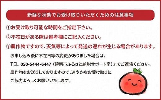 【先行受付】2027年1月～6月毎月発送　プレミアムフルーツトマトの定期便　6回コース 長田農園 産地直送 トマト とまと 野菜 やさい フルーツ サラダ 濃厚 甘い ご褒美 プレゼント 美容 健康 リピート多数 人気 高評価 数量限定 碧南市 H004-204