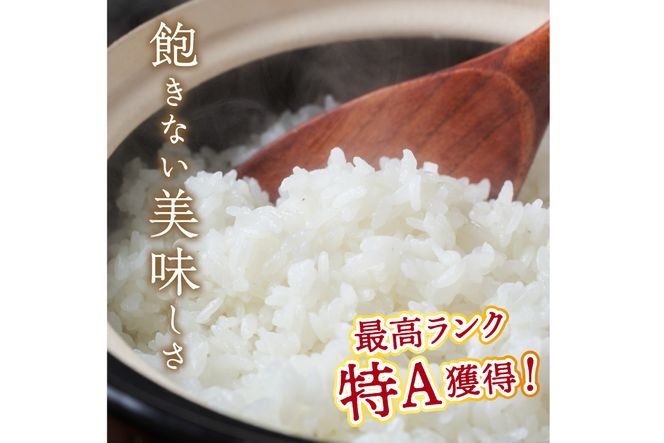 【3ヶ月定期便】直売所直送「令和6年産　京丹後市産　コシヒカリ」　精米5kg　JA00060