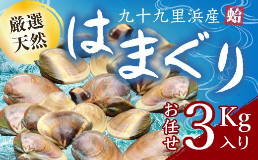 九十九里浜産活天然はまぐりサイズお任せ3kg入り SMBB002（千葉県山武