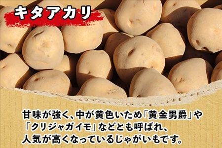 北海道 じゃがいも キタアカリ 10kg 北海道産 十勝産 きたあかり 北あかり ジャガイモ 芋 いも ポテト お取り寄せ まとめ買い 送料無料 十勝 士幌町【V04】