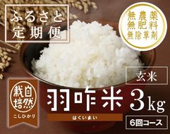 [A025] 【定期便】【無農薬】【玄米】能登のこだわり自然栽培こしひかり『羽咋米』 ３kg×６回コース