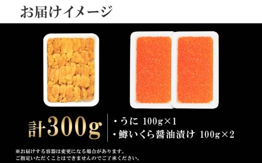 2499. 雲丹 100g 鱒いくら醤油漬け 100g×2個 うに ウニ チリ産 冷凍 いくら イクラ ます マス いくら醤油 お取り寄せ 魚卵 海鮮丼 二色丼 海鮮 寿司 送料無料 北海道 弟子屈町