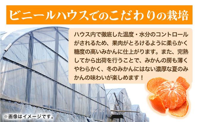 【先行予約】赤秀品 紀州和歌山 ハウス みかん 約 2.5kg 株式会社魚鶴商店《2027年6月下旬頃〜7月下旬頃出荷》和歌山県 日高町 みかん ミカン 蜜柑 フルーツ 柑橘---wsh_uot153_6g7g_25_21000_2500g---