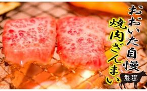 おおいた独り焼肉セット計700g/豊後牛中落ちカルビ,ホルモンほか_1158R