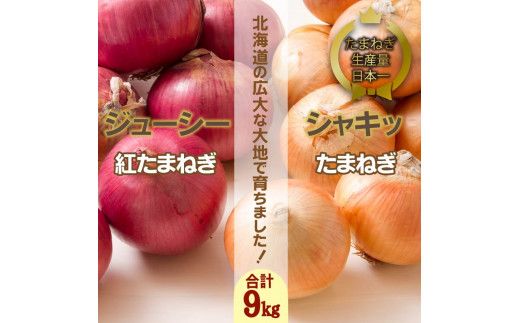 【予約：2024年10月上旬から順次発送】北海道 JAきたみらい「たまねぎ・紅玉ねぎセット」9kg ( 期間限定 野菜 たまねぎ 玉葱 )【005-0021-2024】