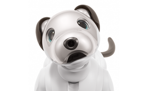 aibo 自律型エンターテインメント ロボット (カラー：アイボリーホワイト) 【令和2年度　全国発明表彰「内閣総理大臣賞」受賞】アイボ