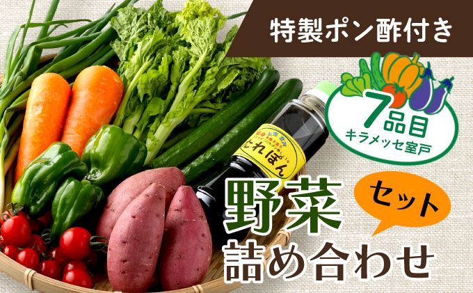 野菜 7種類 詰め合わせセット(特製ポン酢付) 新鮮 旬 春 おまかせ 5000円 故郷納税 送料無料