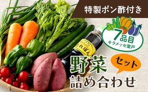 野菜 7種類 詰め合わせセット(特製ポン酢付) 新鮮 旬 春 おまかせ 5000円 故郷納税 送料無料　rk002