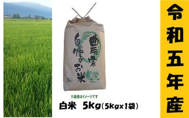 [9月から寄附額・容量変更無][令和5年産 ]奥信濃飯山〜木内ファームのお米〜 5kg(5-39A)