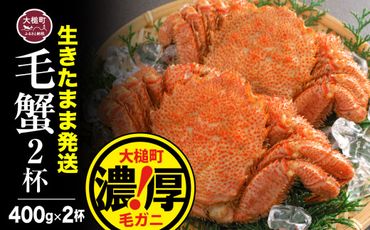 蟹味噌と身入り良し！北海道産極上毛蟹500g×2匹！ズワイガニ