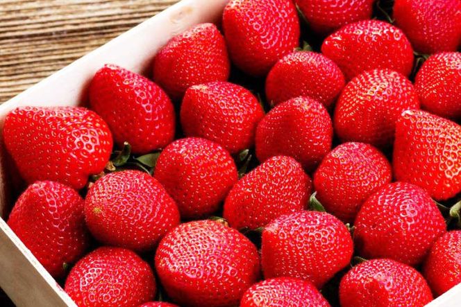 先行受付 【 博多あまおう 】 いちご 約270g×4p / エイチアンドフューチャーズ / 福岡県 筑紫野市 [21760472] 果物 フルーツ いちご イチゴ 苺 朝採り 新鮮