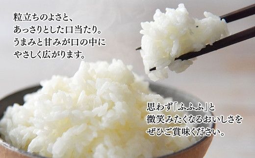 富山 米 15kg (5kg×3袋) 富富富 ふふふ こめ コメ お米 おこめ 白米 精米