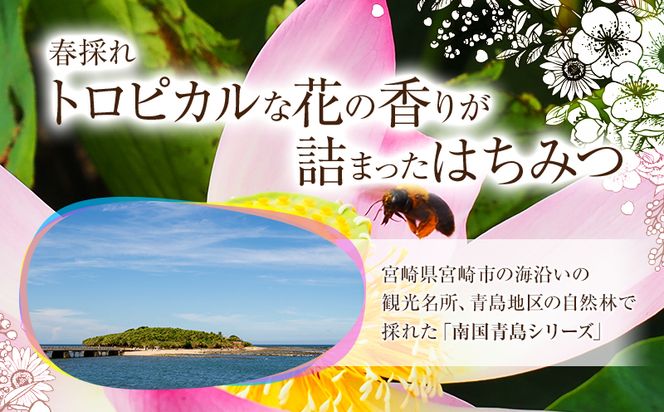 期間・数量限定 宮崎産非加熱ハチミツ2種セット ブォンミエーレ春のはちみつ160g×2 (南国青島シリーズ)_M085-001_01