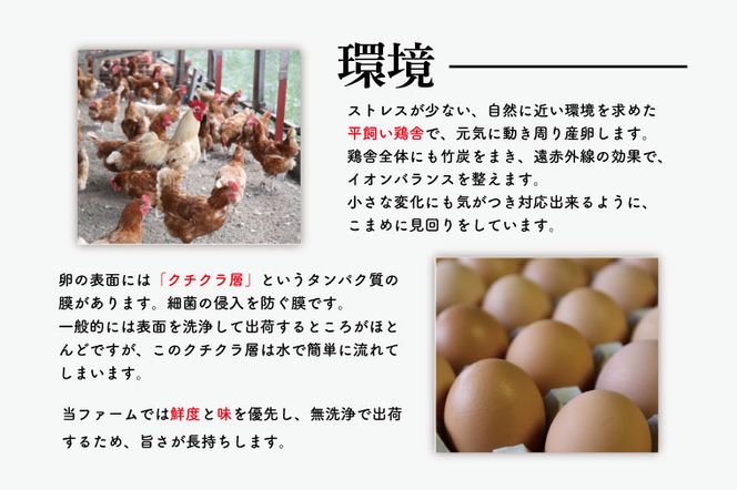 AQ012　【6ヶ月定期便】高橋ファームの丈夫卵30個入り