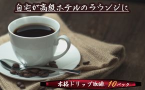 希少！有機栽培の豆100％　ドリップバッグコーヒー(ホット10パック) お試し　H046-037