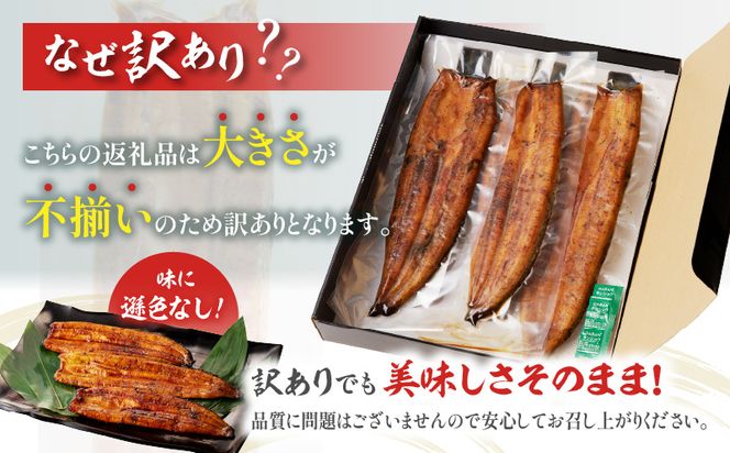 【訳あり】高須水産　備長炭手焼き蒲焼3尾(620ｇ)_M159-005