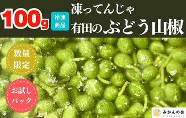 【６月下旬出荷予定】冷凍山椒 凍ってんじゃ ぶどう山椒 100g 和歌山県産 【みかんの会】    AX382