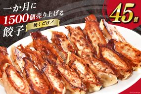 【AH019】 焼くだけ！一か月に1500個売り上げる餃子 45個（15個×3パック）