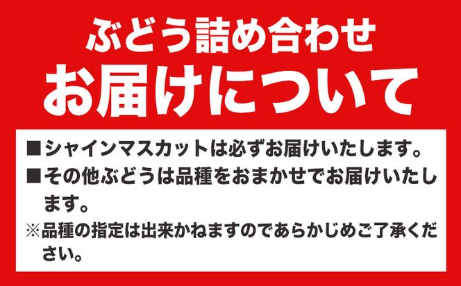 ぶどう 詰め合わせ 2房  青空市きらり 岡山県 矢掛町 葡萄 果物 スイーツ フルーツ デザート シャインマスカット 旬《9月上旬-11月上旬頃出荷》---osy_ckrrbt2h_ad911_23_14000_2h---