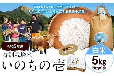 令和5年産 特別栽培米 いのちの壱(白米)5kg×1 雑穀米付き《90日以内に出荷予定(土日祝を除く)》 熊本県 南阿蘇村 熊本県産 虹色のかば 白米 雑穀米---sms_nnktmiih5_90d_22_14500_5kg---