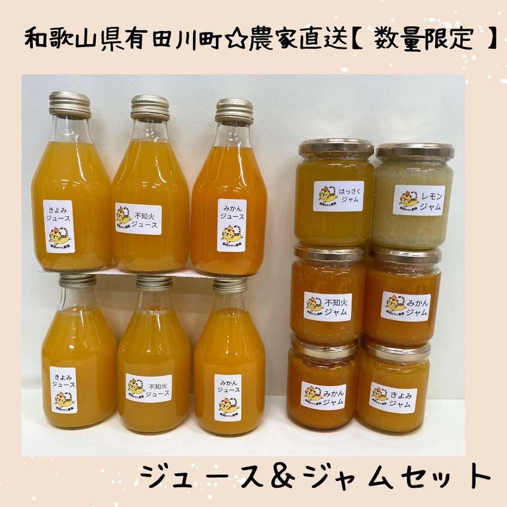 数量限定!店主にお任せ 農家直送の無添加の柑橘ジュース&ジャムセット