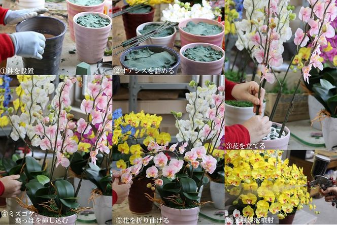 綺麗で丈夫な三河陶器で贈る光触媒胡蝶蘭小輪１本立（ピンクの陶器×桃色の花）H100-080