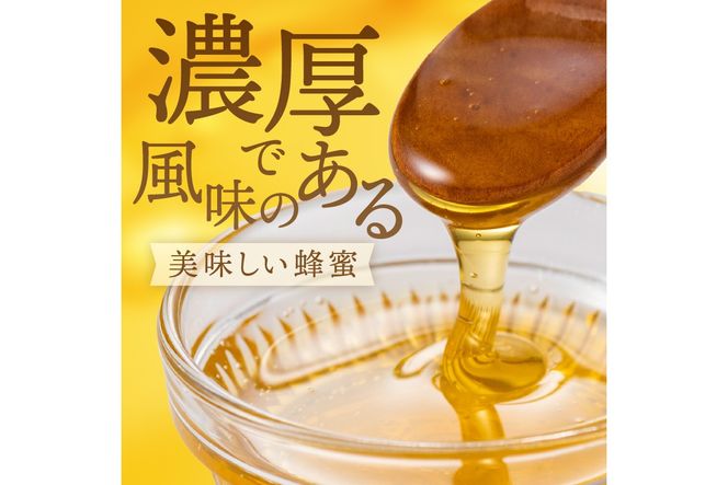 国産天然はちみつ 300g AM00560(京都府京丹後市) | ふるさと 国産天然はちみつ 300g AM00560(京都府京丹後市) | ふるさと