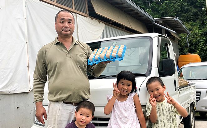 【定期便】土佐ジローたまご　　1箱(25個入)×3回（4週間毎）