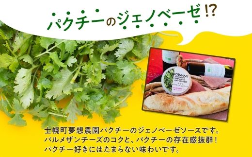 北海道 パクチー ジェノベーゼ 80g×3個 ペースト ディップソース パクラー パスタ スパゲティ おつまみ お酒のお供 冷凍 お取り寄せ 送料無料 十勝 士幌町【L39】