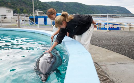 トレーナー体験１名（中学生以上） dr004