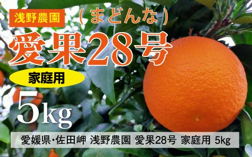 【先行予約】【数量限定】浅野農園の愛果28号（まどんな）家庭用5kg｜柑橘 みかん ミカン フルーツ 果物 愛媛 有名 代表 高級 ※2024年12月中旬～2025年1月中旬頃に順次発送予定 ※離島への配送不可