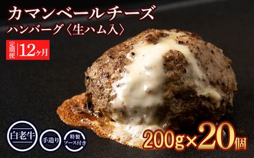 定期便12ヵ月 お楽しみ 北海道産 白老牛 カマンベールチーズハンバーグ 20個セット 冷凍 チーズ イン ハンバーグ BY076
