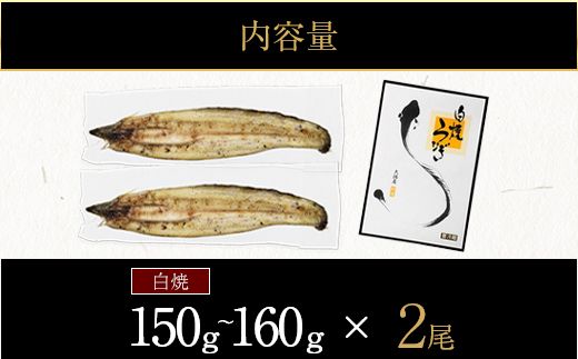 【CF002】鹿児島県大隅産　千歳鰻の白焼き鰻　2尾【CH150】