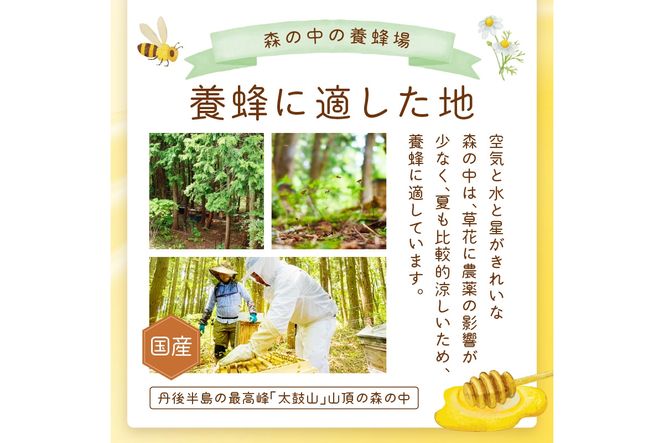 京都 生はちみつ「京丹後 山頂のはちみつ」 500g(100g×5) 【国産　非加熱】　ハチミツ　蜂蜜 ハニー　SW00004