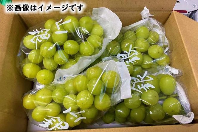 ★お届けは2026年8月から！★産地直送 シャインマスカット約２キロ入り 232238_A015-PR