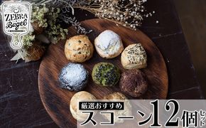 ZEBRA.Bagel　厳選おすすめスコーン12個セット