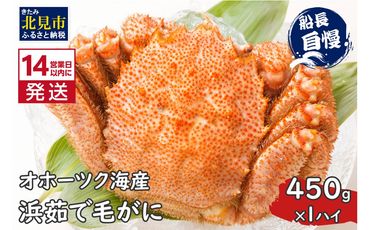 《14営業日以内に発送》オホーツク海産 浜茹で毛がに 450g×1パイ 冷凍 ( かに カニ 毛ガニ 魚介類 蟹 )【114-0019-2024】