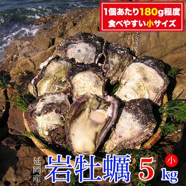 延岡産天然岩牡蠣（生食用）5kg（小）（2024年4月1日から発送開始）　N036-B305